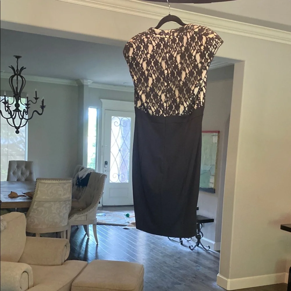 Ted Baker London Black with Nude Underlay Dress - Picture 4 of 7